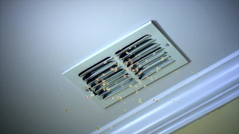 Best Emergency Air Duct Cleaning  in South Gate, CA