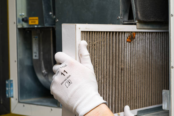 Best Air Vent Cleaning Services  in South Gate, CA