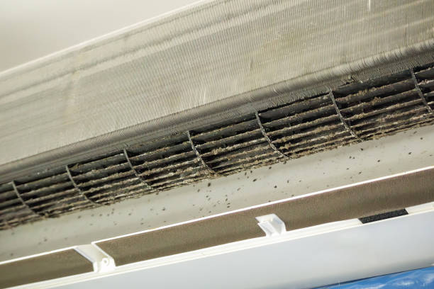 Best HVAC Duct Inspection Services  in South Gate, CA