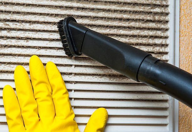 Best Professional Duct Cleaning Services  in South Gate, CA